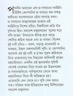 Buker Ghare Bandi Aagun Mid Cover