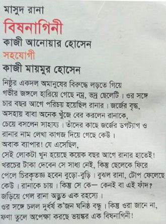 Bishnagine Back Cover